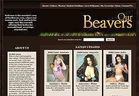 wedesignet's portfolio